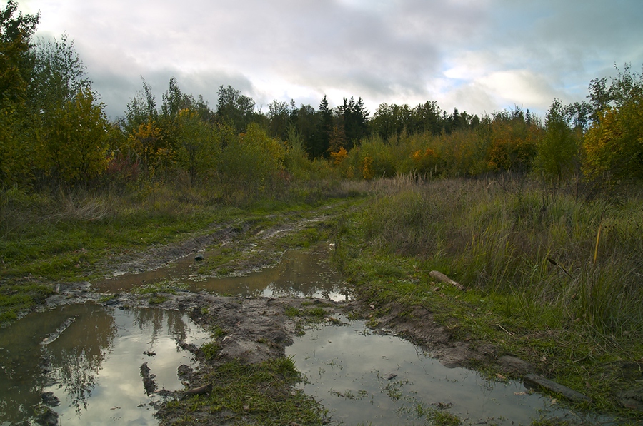 Фото жизнь