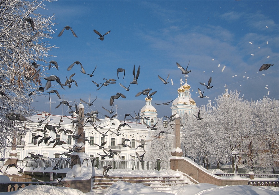 Фото жизнь