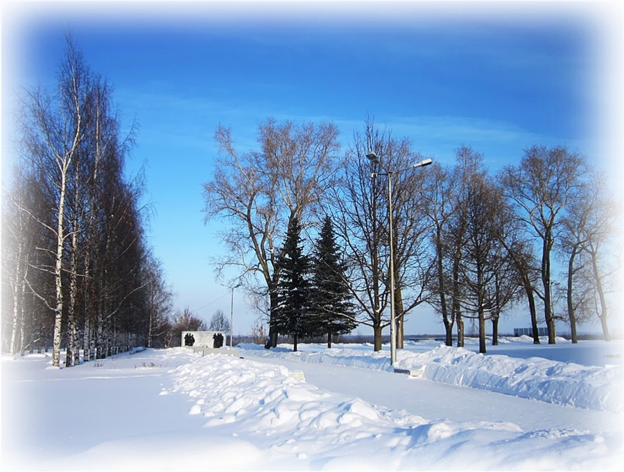 Фото жизнь