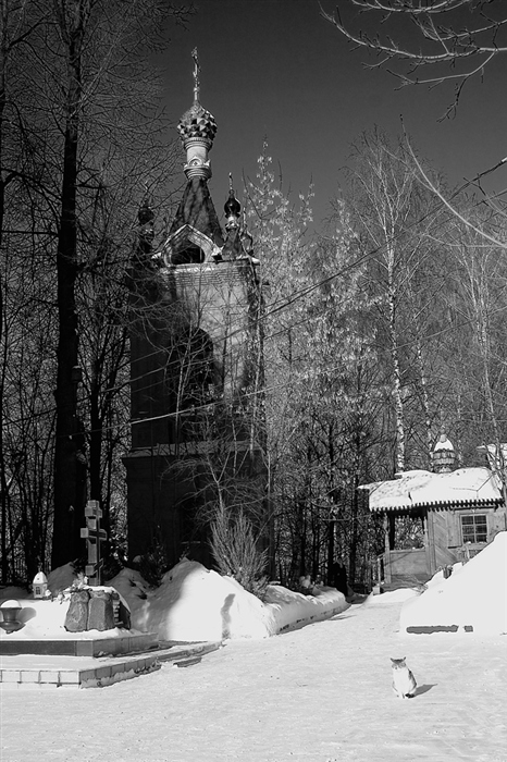 Фото жизнь