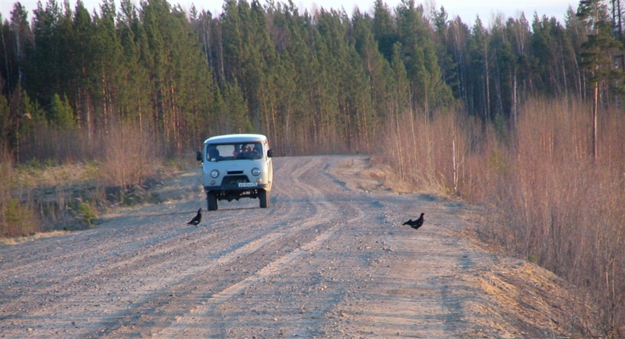 Фото жизнь