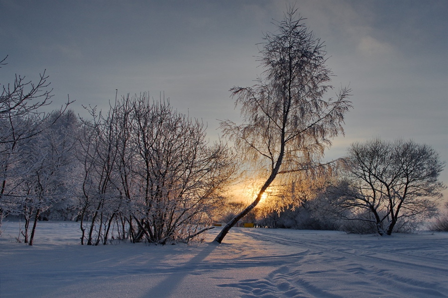 Фото жизнь