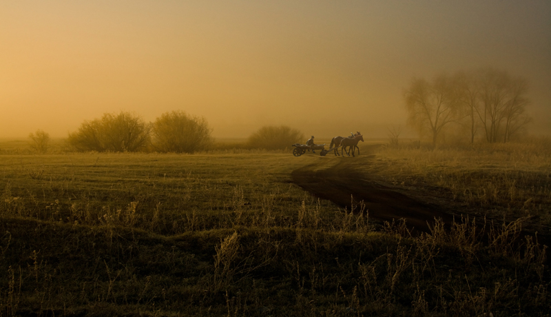 Фото жизнь (light) - Алексей Трубицын - корневой каталог - Утро в конце октября   2