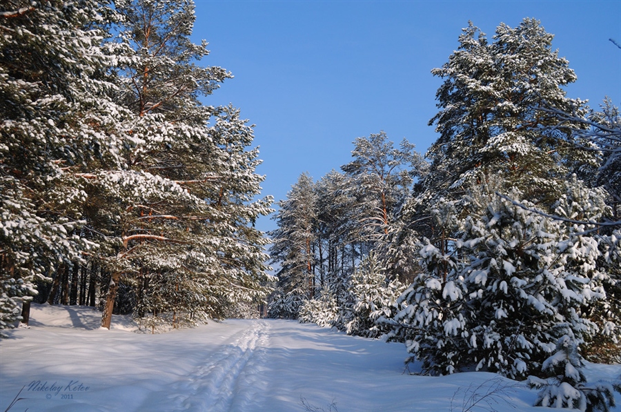 Фото жизнь