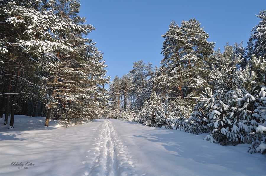 Фото жизнь