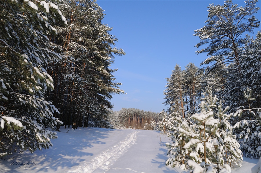 Фото жизнь