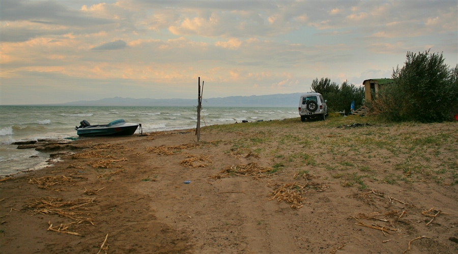 Фото жизнь