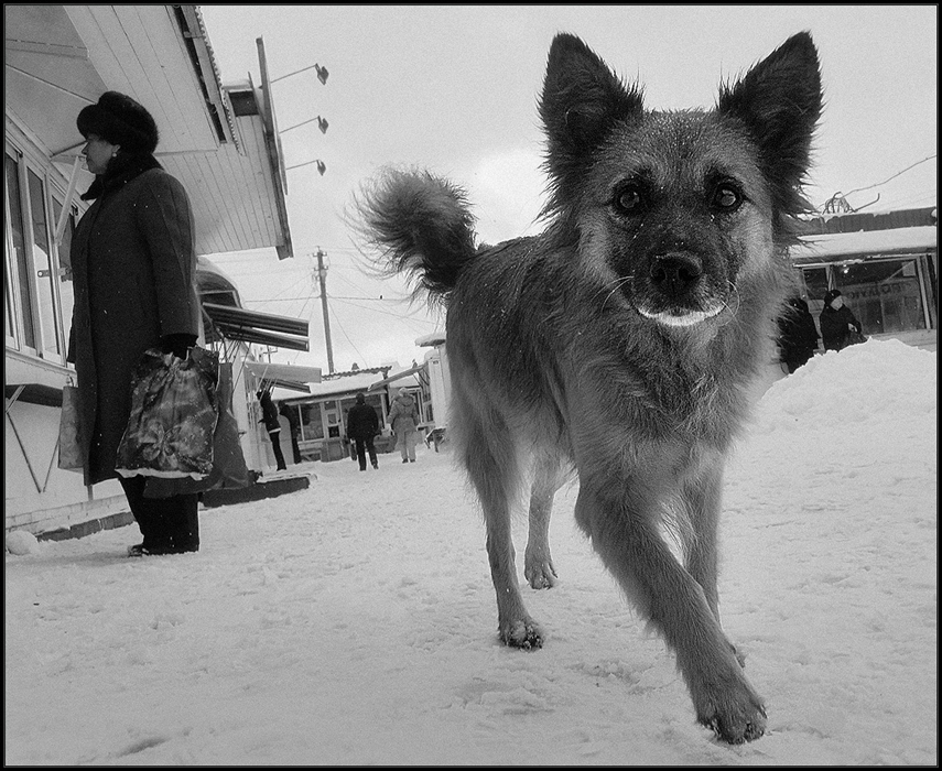 Фото жизнь