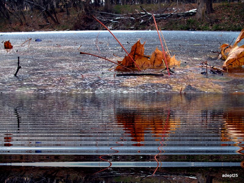 Фото жизнь (light) - adept25 - корневой каталог - Замерзающий пруд.