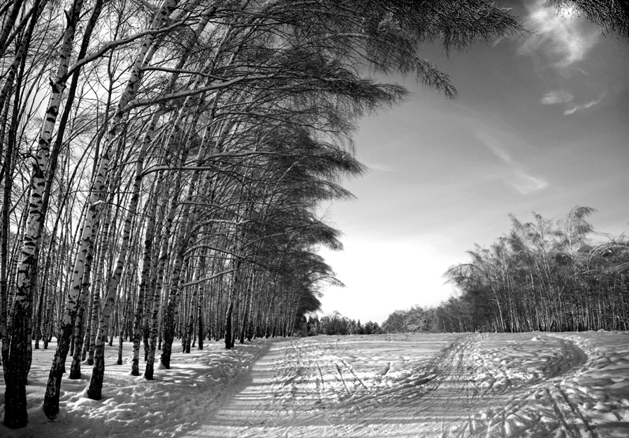 Фото жизнь