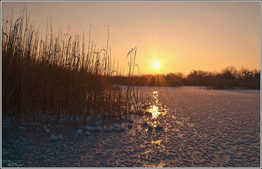 Фото жизнь