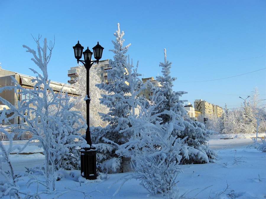 Фото жизнь