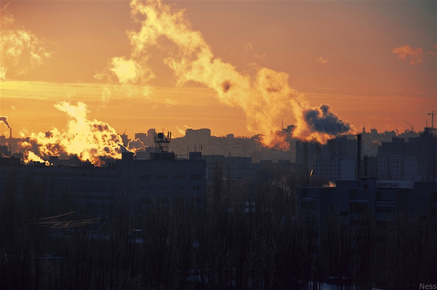 Фото жизнь