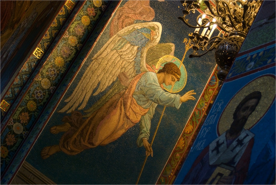 Фото жизнь