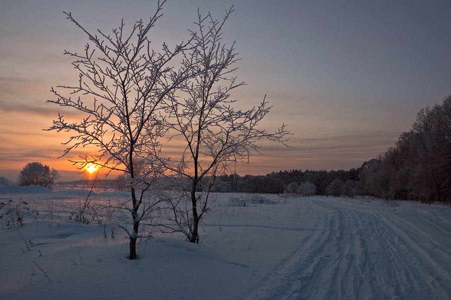 Фото жизнь (light) - Kuchkai_murza - корневой каталог - Зимние прогулки...