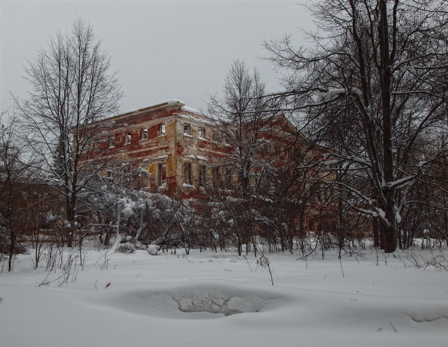 Фото жизнь