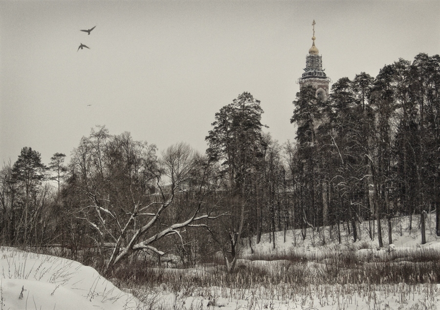 Фото жизнь