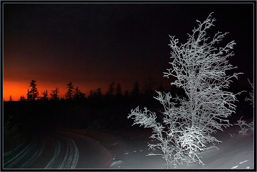 Фото жизнь (light) - Виктор Солодухин - Сказочная зима - По ночной дороге