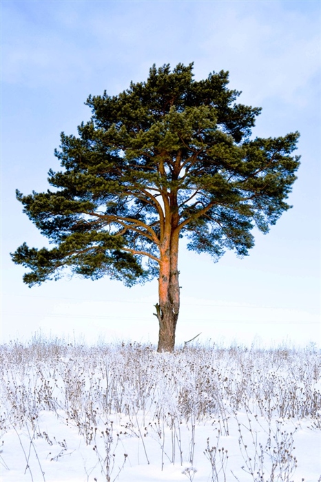 Фото жизнь