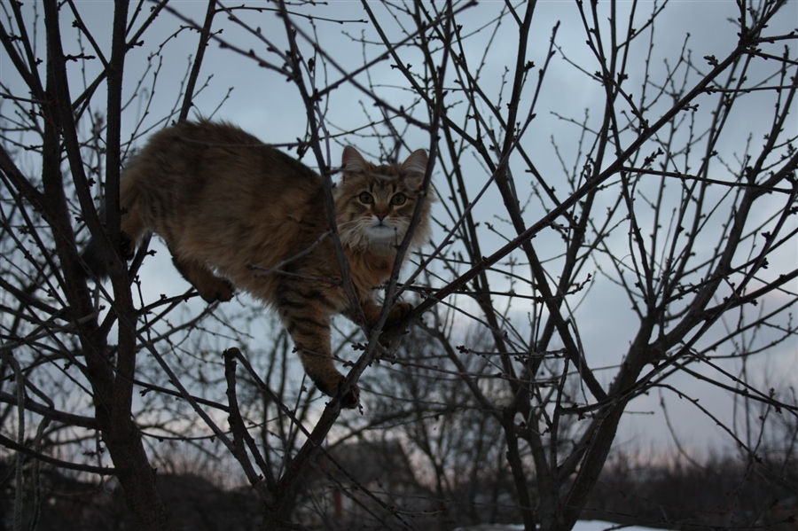 Фото жизнь