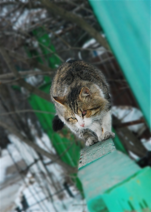 Фото жизнь