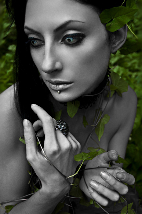 Фото жизнь (light) - Дмитрий Танатос - Портфолио фотографа - Silver Elf