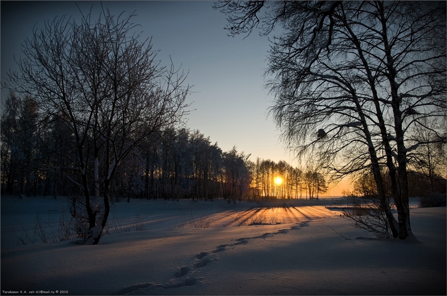 Фото жизнь