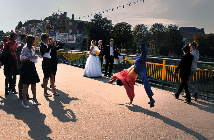 Фото жизнь (light) - Ленивец обыкновенный - корневой каталог - Танец для невесты