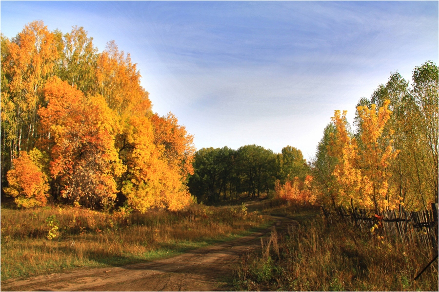 Фото жизнь