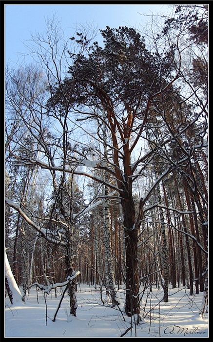 Фото жизнь