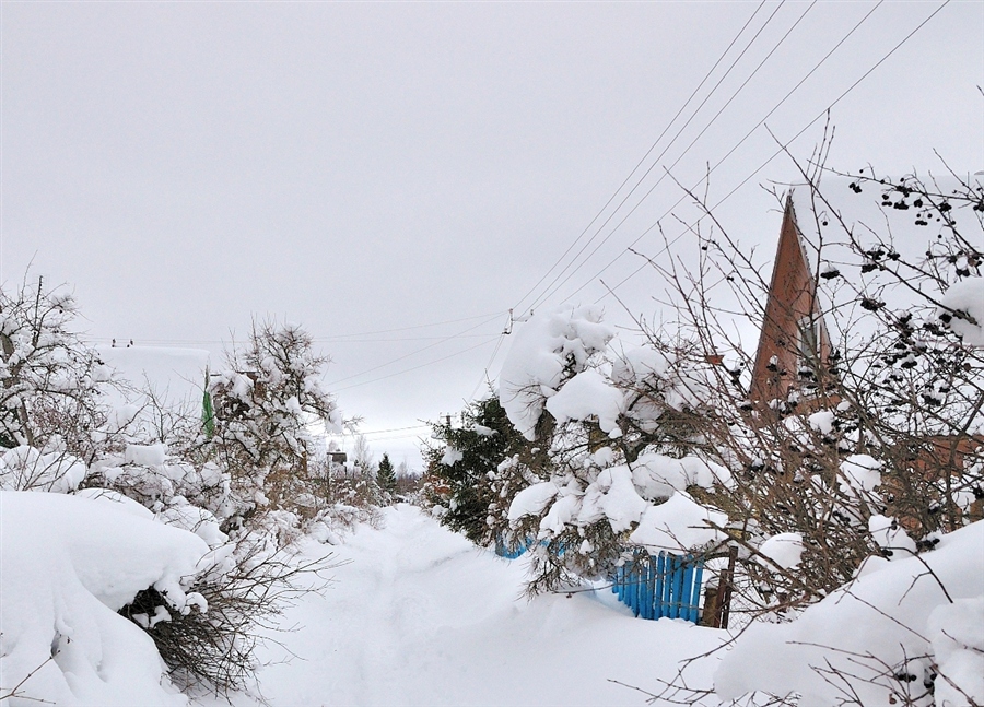 Фото жизнь