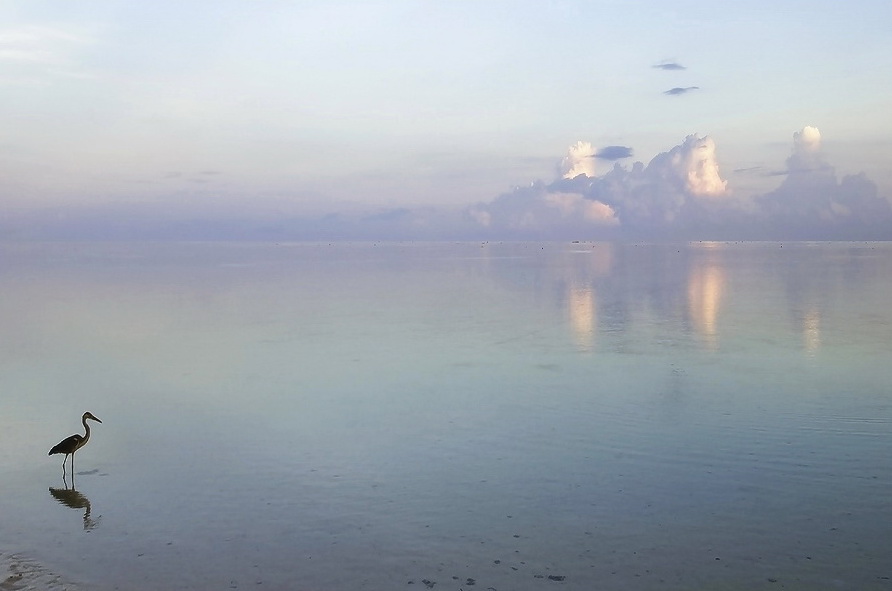 Фото жизнь (light) - Anna Korsakova - Мальдивы - Нежность океана