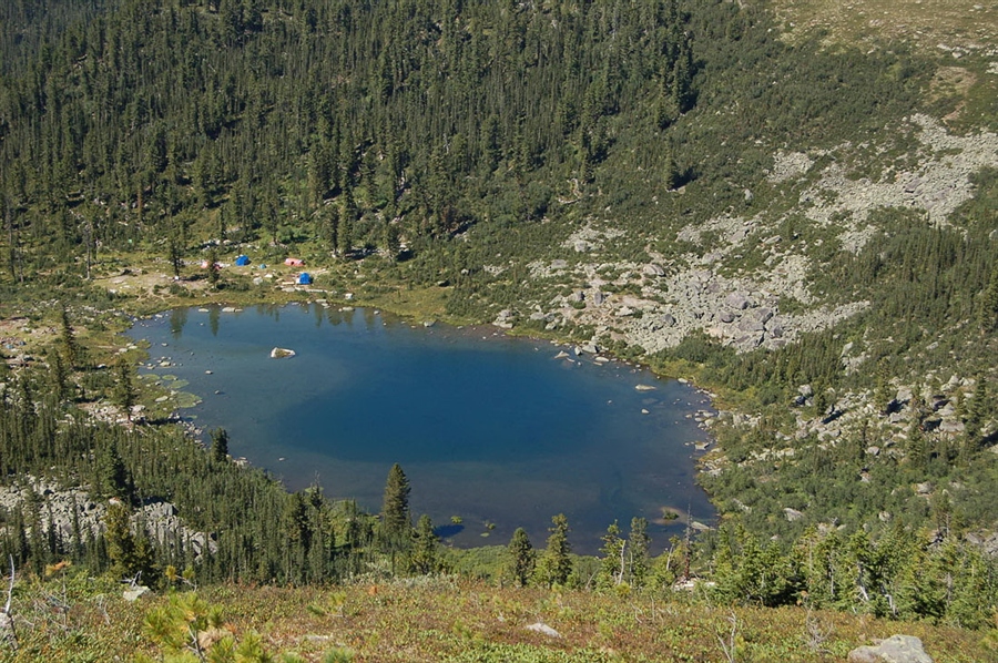 Фото жизнь