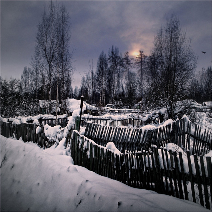 Фото жизнь