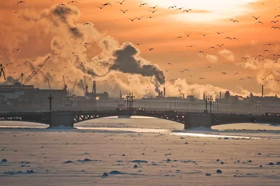 Фото жизнь
