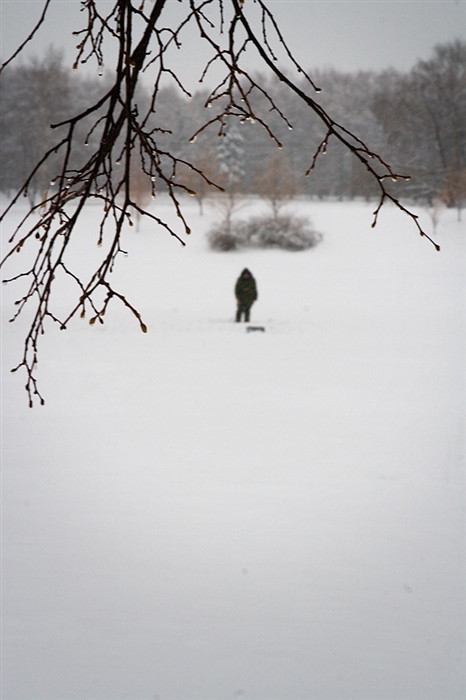 Фото жизнь