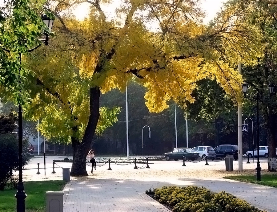 Фото жизнь
