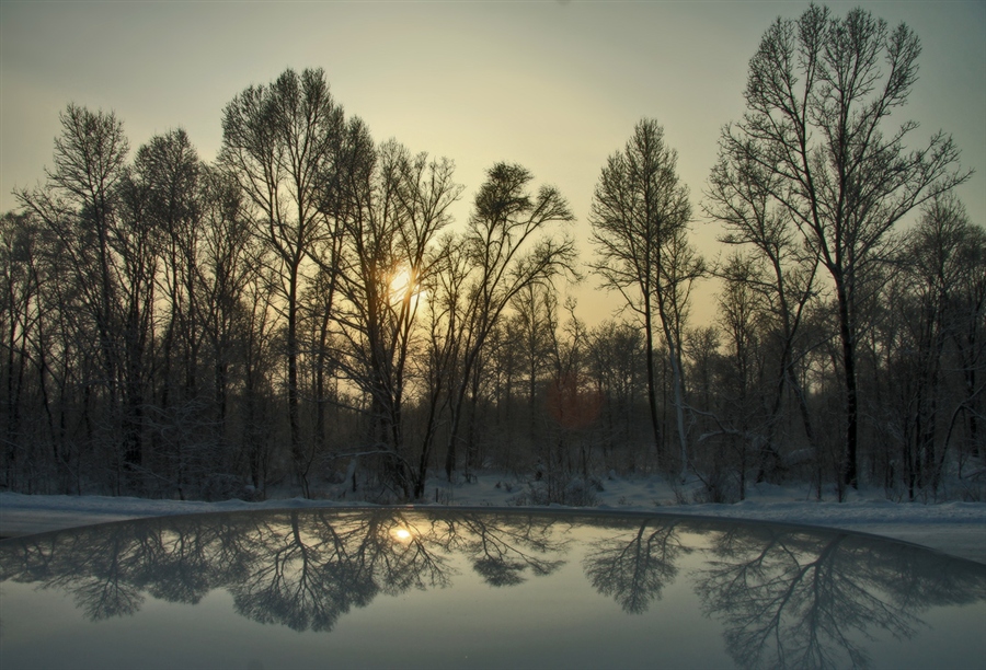 Фото жизнь