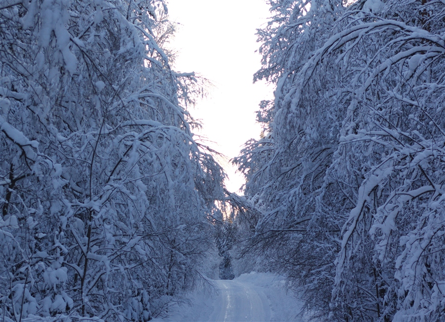 Фото жизнь