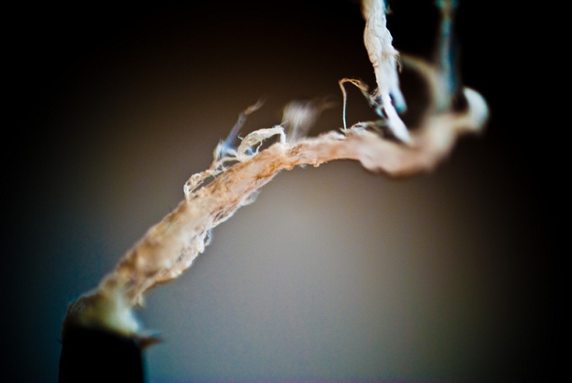 Фото жизнь (light) - Zik - корневой каталог - ***