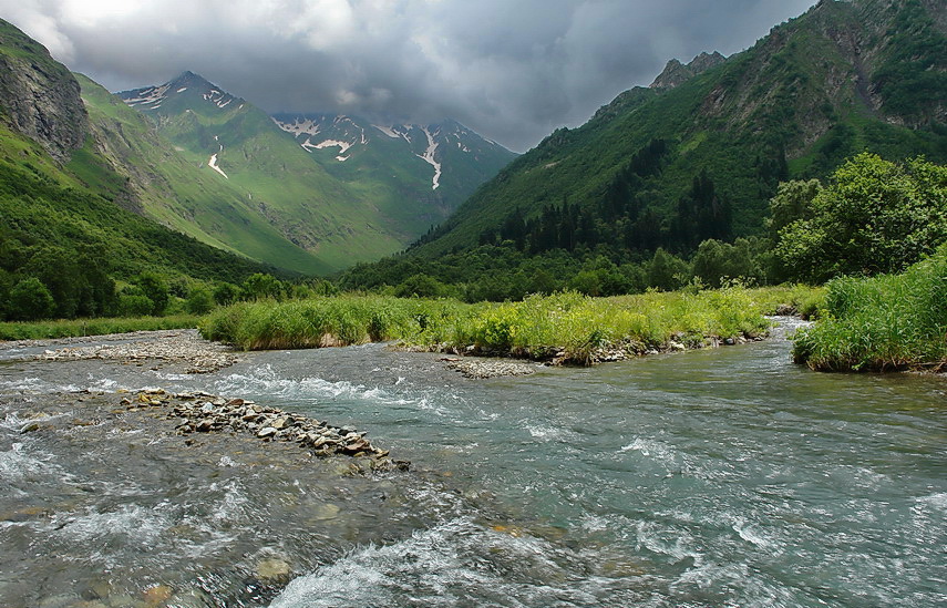Фото жизнь