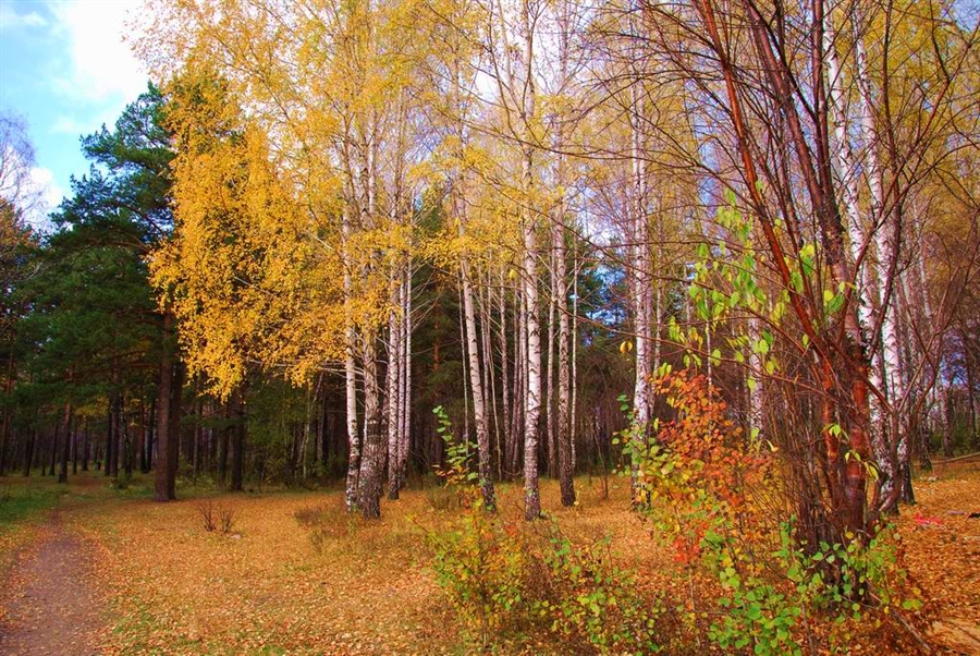 Фото жизнь