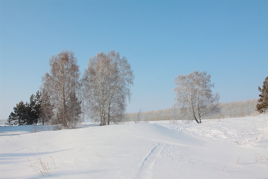 Фото жизнь