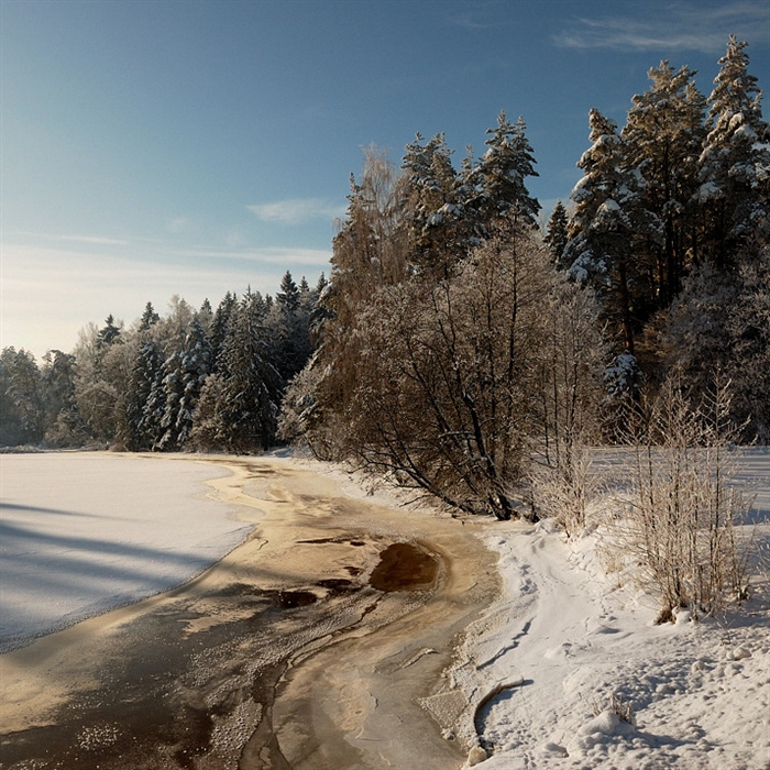 Фото жизнь