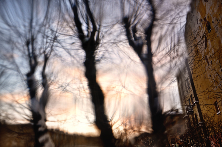 Фото жизнь (light) - fedotova larisa - корневой каталог - Силуэты уснувших деревьев