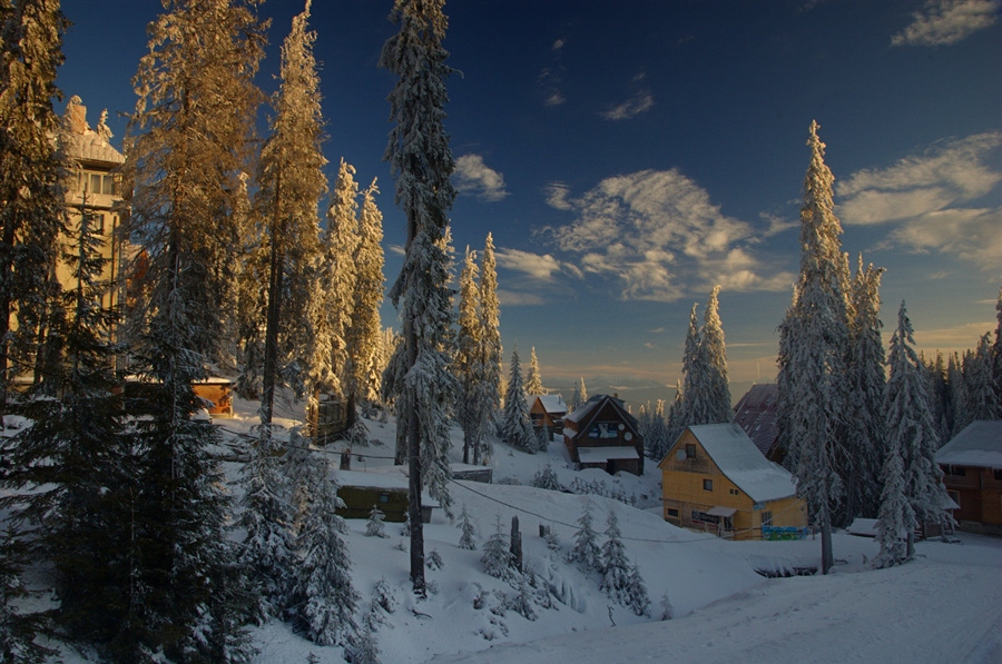 Фото жизнь