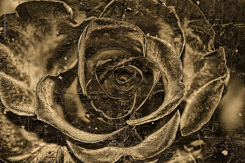 Фото жизнь (light) - AndreySavelyev - корневой каталог - Былое