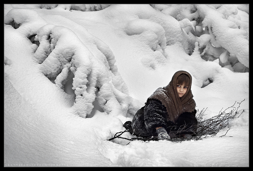 Фото жизнь (light) - Светлана Макиенко/ПриВетка - Детеныши - Тихо в лесу