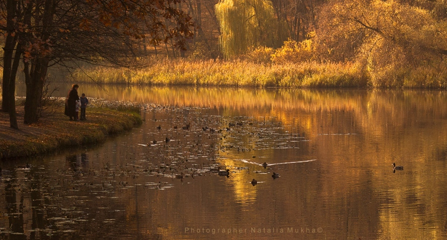 Фото жизнь