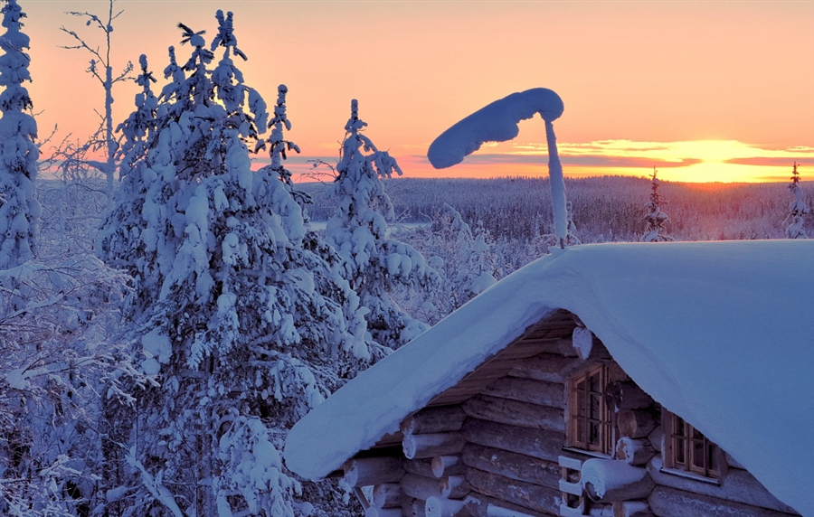 Фото жизнь